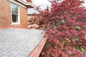 June Home Maintenance