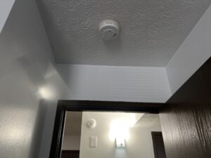 Check Smoke Detectors