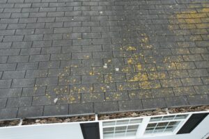 checking gutters
